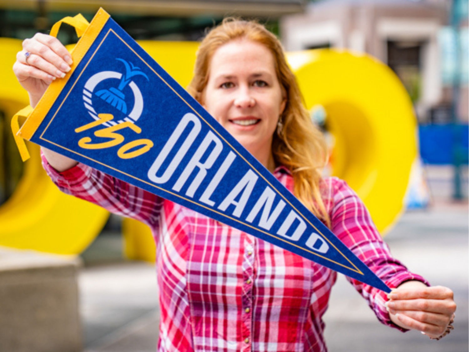 150 Year Anniversary Pennant Flag